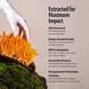 Organic Cordyceps Mushroom Supplement Capsules Daily Wellness Support