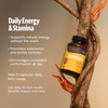 Organic Cordyceps Mushroom Supplement Capsules Daily Wellness Support