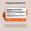 Organic Cordyceps Mushroom Supplement Capsules Daily Wellness Support