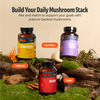 Organic Cordyceps Mushroom Supplement Capsules Daily Wellness Support