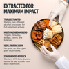 Organic Mushroom Complex Supplement Capsules Daily Wellness Formula
