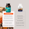Organic Mushroom Complex Supplement Capsules Daily Wellness Formula