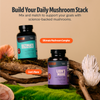 Organic Mushroom Complex Supplement Capsules Daily Wellness Formula