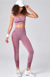 Women's Seamless Mesh Athletic Set Quick Dry Sports Outfit