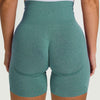 Women's Seamless High Waist Leggings Slim Fitness Workout Pants